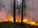 گسترش-آتش‌سوزی‌های-جنگلی-در-مرکز-آفریقا
