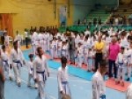 مسابقات-کاراته-قهرمانی-کشور-در-قزوین-آغاز-شد