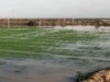 با-کشت-برنج-در-خوزستان-موافقم-«کارگروه-ملی-سازگاری-با-کم‌آبی-استان»-باید-بررسی-کند