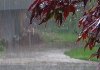 اعلام هشدار قرمز هواشناسی با ورود سامانه بارشی به جنوب کشور