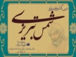 خاموشی-زبان-در-سلوک-شمس-تبریزی-بررسی-می‌شود
