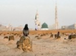 شعر-زهیر-توکلی-برای-ام-ابیها-س