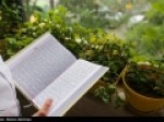 پخش-روزانه-36-ساعت-تلاوت-رادیویی-ترتیل-در-ماه-رمضان