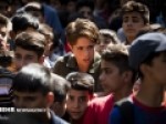 «خورشید»-پروانه-نمایش-گرفت-مجوز-برای-«مرده-خور»-و-«عنکبوت»