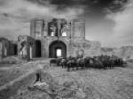 جایزه-ممتاز-بنیاد-فلچر-به-هنرمند-ایرانی-تعلق-گرفت