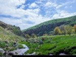 دو-راهکار-برای-رهایی-از-اندوه-و-شاد-زیستن