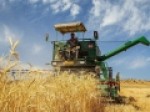 نرخ-پیشنهادی-خرید-تضمینی-گندم؛-۲۵۰۰-تومان