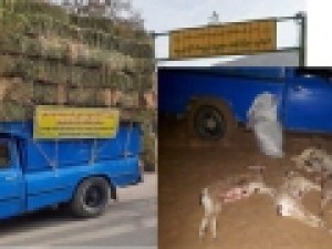 پناهگاه-خوش‌ییلاق-دو-نگاه-و-دو-نیسان-آبی‌رنگ