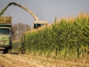 کشاورزان-و-دامداران-را-دریابید