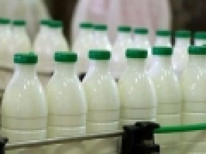 استاندارد-آفلاتوکسین-شیر-و-مواد-غذایی-از-نظر-سازمان-بهداشت-جهانی-چه-میزان-سم-خطرناک-است؟
