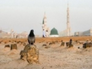 شعر-زهیر-توکلی-برای-ام-ابیها-س