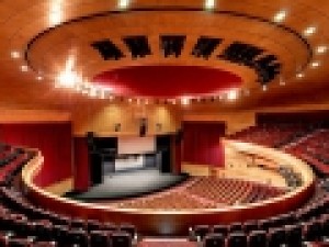 کنسرت-آنلاین-دیگری-در-شرایط-قرنطینه-کرونایی