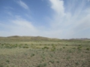 از-شناسایی-محوطه-های-پارینه-سنگی-تا-ثبت-ملی-سیلوی-گندم-بیرجند