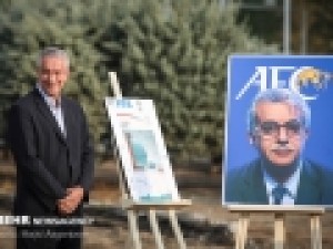 اموال-هیات-رئیسه-فدراسیون-نباید-مصادره-شود-متهم-ویلموتس-است