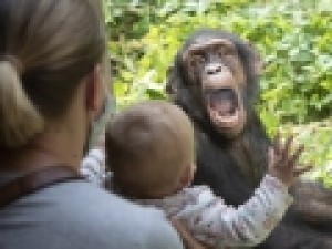عکس‌های-منتخب-حیات‌وحش-در-هفته‌ای-که-گذشت