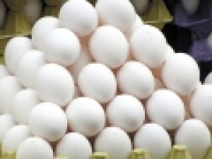 قیمت-مصوب-تخم-مرغ-افزایش-یافت