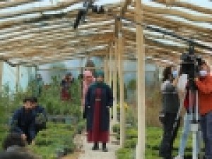 رقابت-همبازی-تلویزیون-با-جاسوس‌بازی-و-کمدی