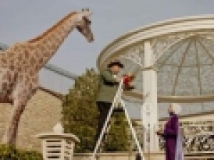سیرک-حیات-وحش-در-سریال‌ها؛-چرا-محیط-زیست-مجوز-می‌دهد؟