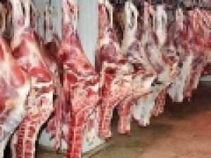 گوشت-وارداتی-چرا-بالاتر-از-قیمت-جهانی-دست-مردم-می‌رسد؟