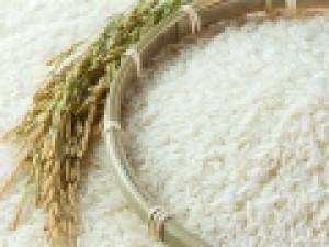 کاهش-15-درصدی-قیمت-برنج-ایرانی-در-بازار