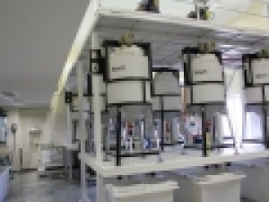 دستیابی-به-دانش-فنی-استخراج-فلزات-گرانبها-از-پسماندهای-الکترونیک-انتظار-حمایت-ارگان‌های-دولتی