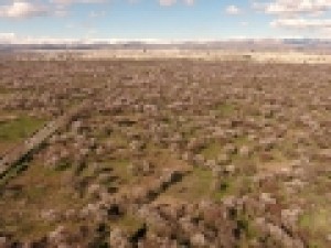 باغستان-سنتی-قزوین-سوژه-مستند-بلند-«ماریان»
