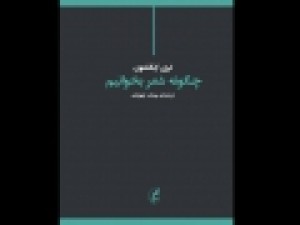 دفاعیه-«تری-ایگلتون»-از-شعر-در-زمانه-ما