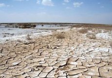 حقآبه موثری برای بهبود شرایط گاوخونی داده نشده است