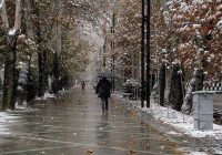 زمستان امسال فصلی گرم و همراه با بارش باران به جای برف است