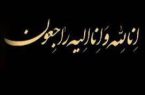 هیات دولت ۴۰ روز عزای عمومی و ۷ روز تعطیل اعلام کرد